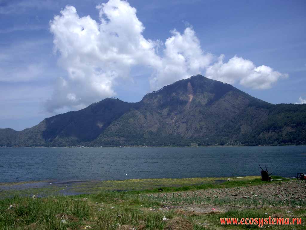 Действующий вулкан Батур (1717 м) на берегах озера Кинтамани