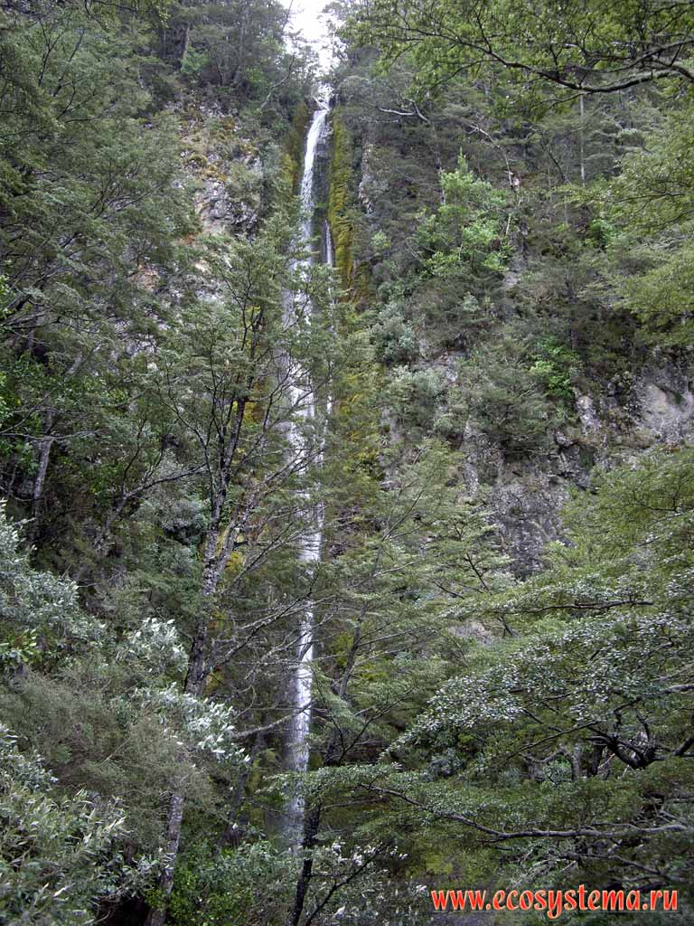     (Dog Stream Waterfall)  
 .  - 700    .
   ( ,   )