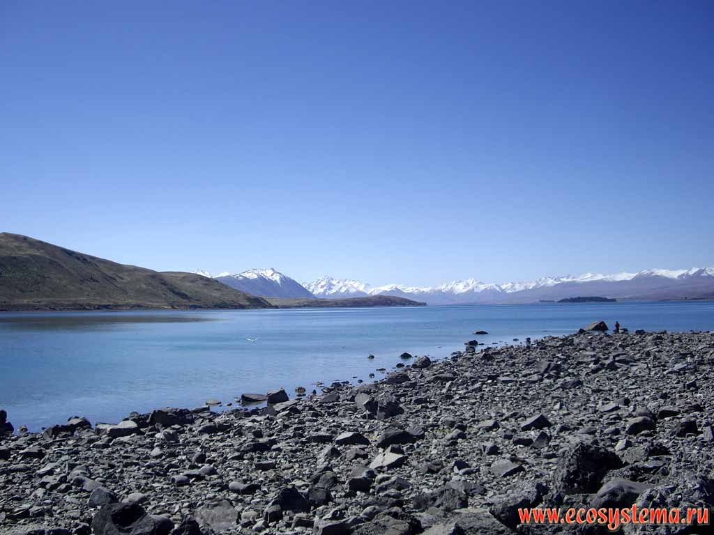 Lake Tekapo - the typical mountain (alpine) oligotrophic (with low nutrient level) glacial lake.
700 meters above sea level. Southern (New Zealand) Alps.
Canterbury region, South Island, New Zealand
