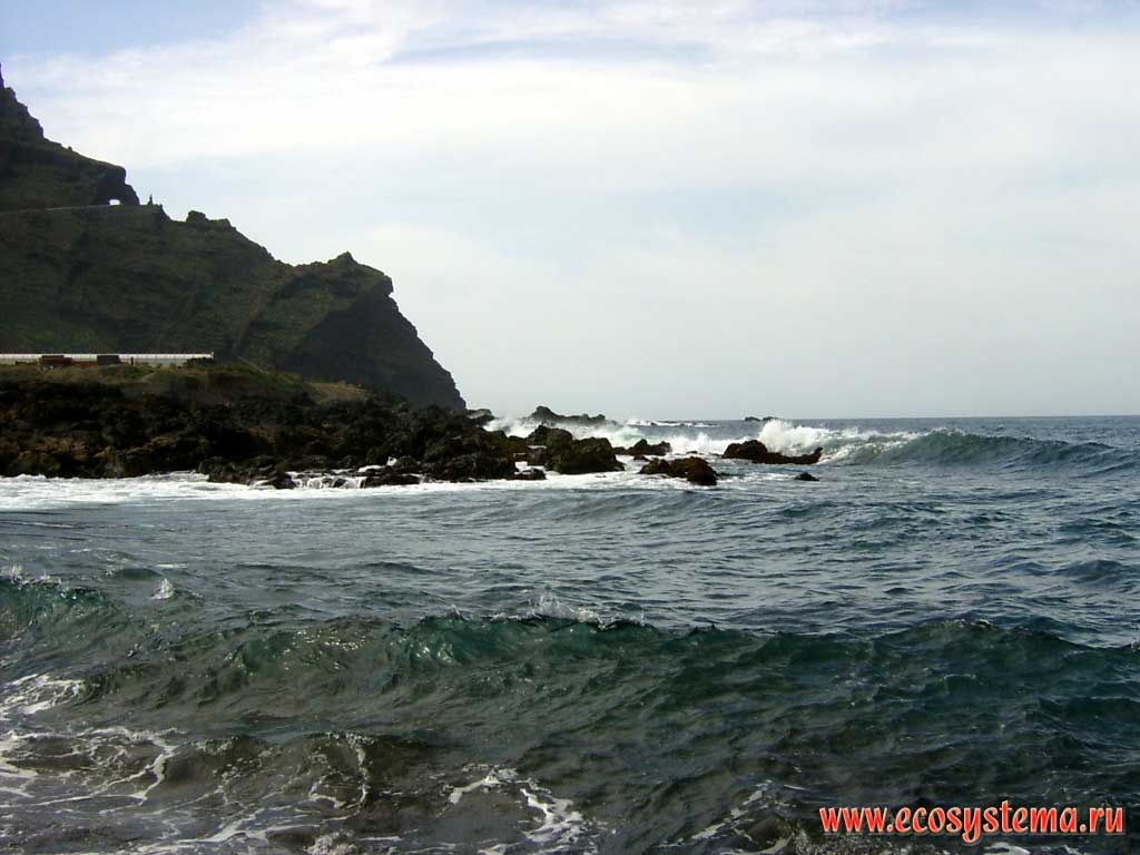 The scarp - wave (undulating) erosion zone of the Atlantic ocean coast.
Teno peninsula (Punta de Teno)  north-west coast of the Tenerife Island, Canary Archipelago