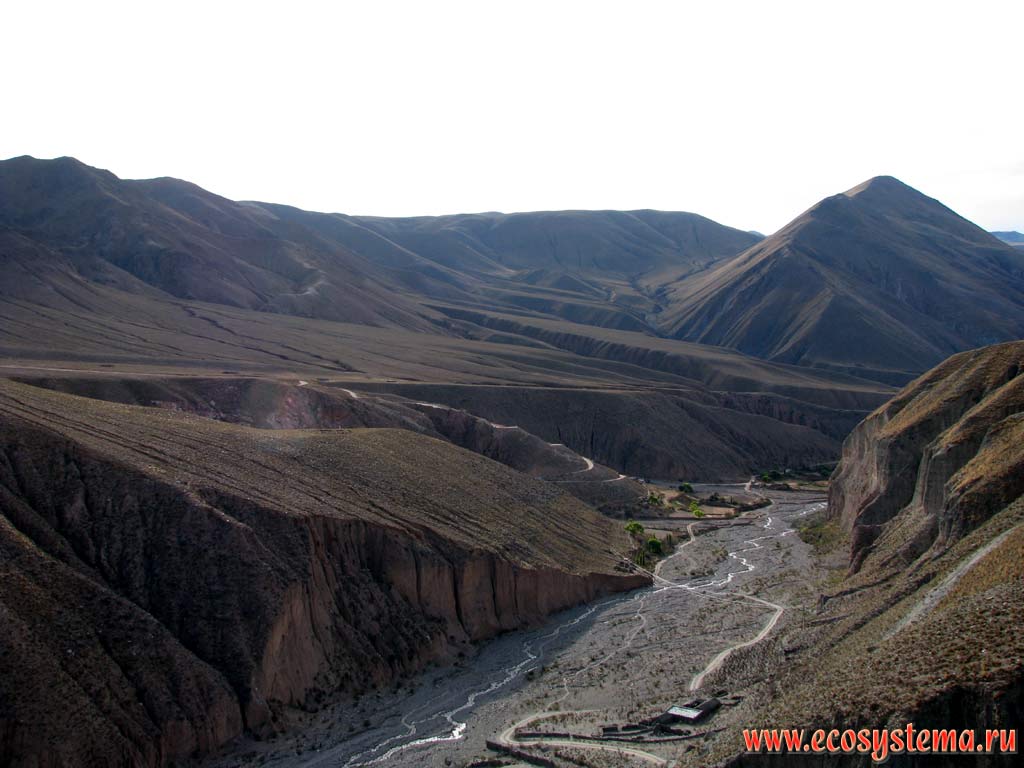 Высокогорная пустыня и полупустыня на границе Аргентины, Боливии и Чили (3500 м над уровнем моря). Восточные склоны Андийского плоскогорья.
Прекордильеры, провинция Жужуй, или Хухуй (северо-запад Аргентины на границе с Боливией)