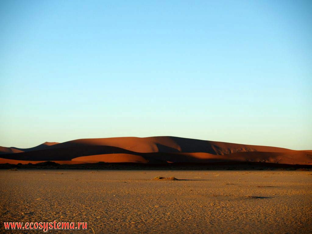      .   (, Sossusvlei),    (NamibRand Nature Reserve),
  - (Namib-Naukluft National Park), - ,  