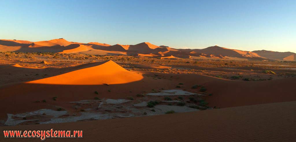   -   ()   (  )    .   (, Sossusvlei),
   (NamibRand Nature Reserve),   - (Namib-Naukluft National Park),
- ,  .