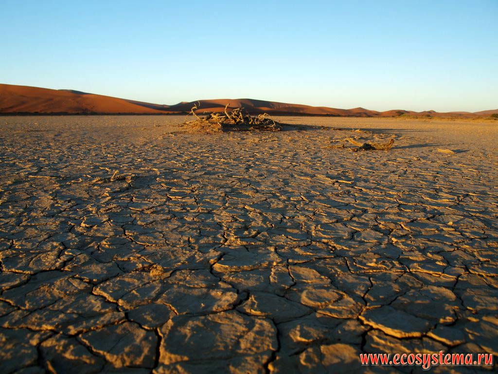       .   (, Sossusvlei),   
(NamibRand Nature Reserve),   - (Namib-Naukluft National Park).
- ,  