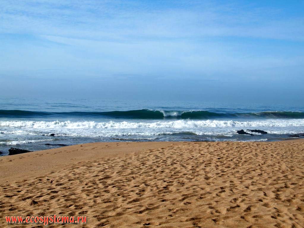            (Blythedale Beach)    (The Dolphin Coast).
 - (KwaZulu-Natal Province),    (The Zulu Kingdom). - ,
     