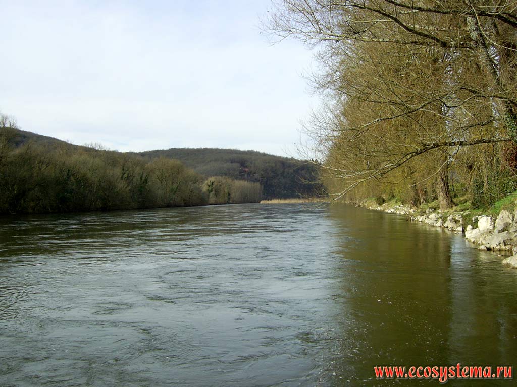 Dordogne river and floodplain broadleaved deciduous (temperate) forest on the bank. Western slope of Massif Central highlands. South France, Lo (Lot), Souillac area