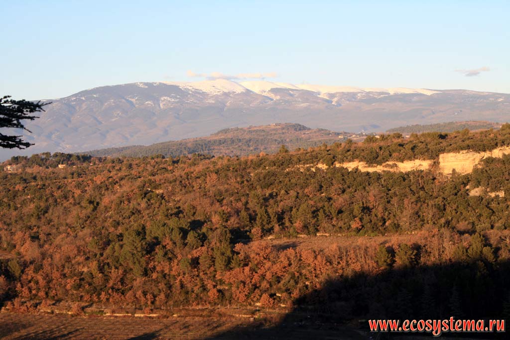 Mid-height mountain landscape of the South France: Mont Ventoux is far away (1912 meters height) and mixed deciduous temperate forests at the near view.
South France, Provence, Carpentras area