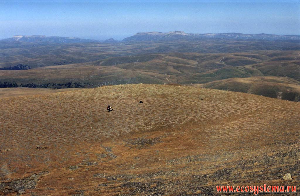 Alpine stony (rocky) ground. Bichesin plateau (2200 m above sea level). Skalisty Ridge in the background
