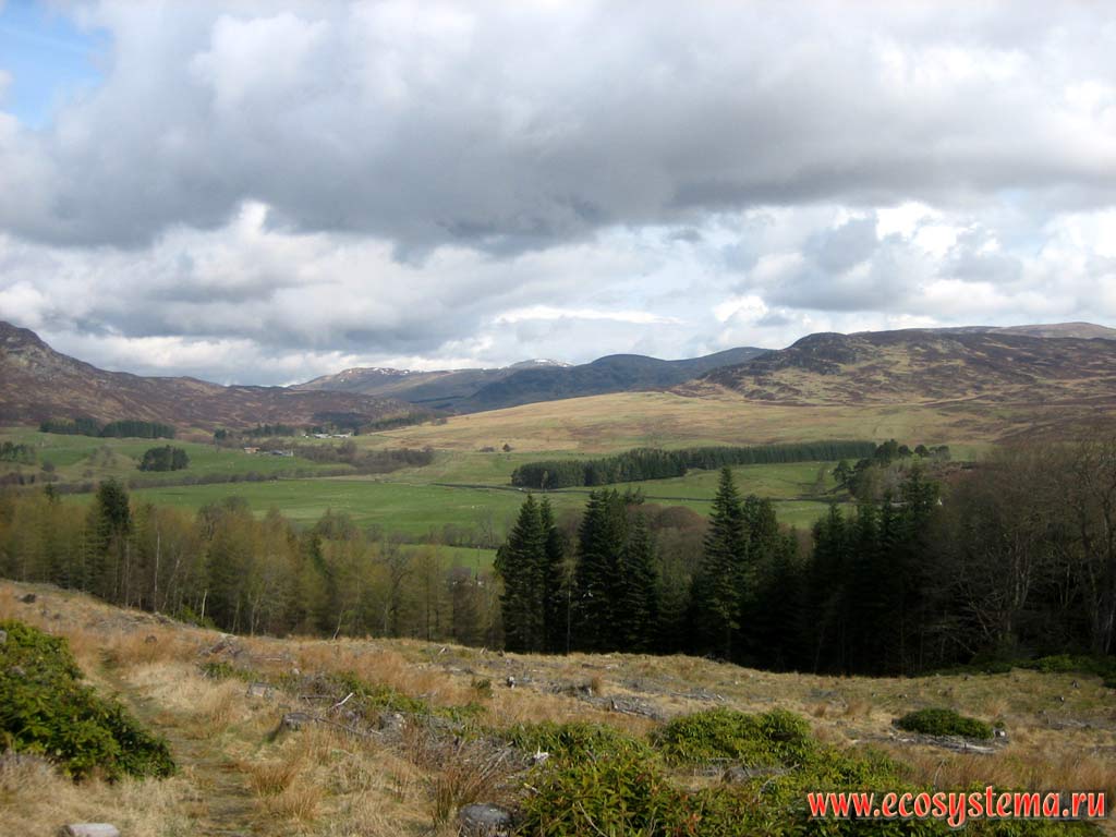 The mountain landscape in the Grampian Mountains, or Grampians, Northern Scottish Highlands. Agricultural fields alternate with deciduous and coniferous forest plantations.
Altitude is between 500 and 1000 meters above sea level. Scotland, Great Britain