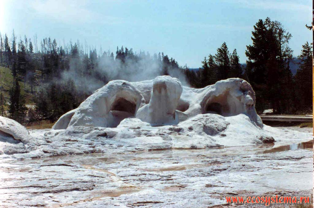 Известковые отложения (отложения гейзерита и травертина) термальных вод гейзера.
Йеллоустонский национальный парк. Горный Запад Северной Америки, Кордильеры северо-запада США, Скалистые горы, штат Вайоминг