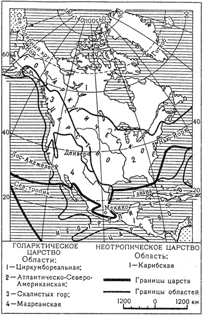 Флористическое районирование Северной Америки (по А.Л. Тахтаджяну)